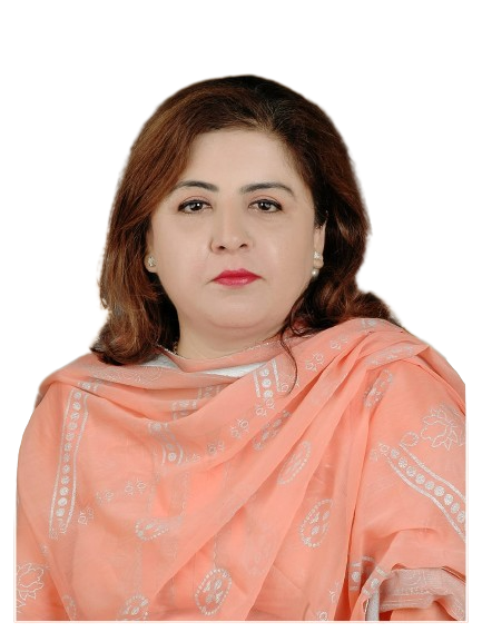Engr.  Dr. Shazia Feroz, Assistant Professor